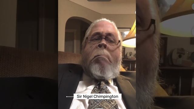 Sir Nigel Chimpington reminiscing about his flat mate Larry Olivier смотреть онлайн