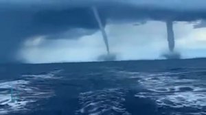 5 самых опасных тарнат в мире