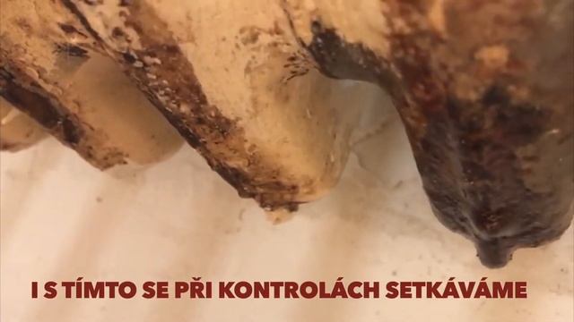 Koroze radiátoru смотреть онлайн