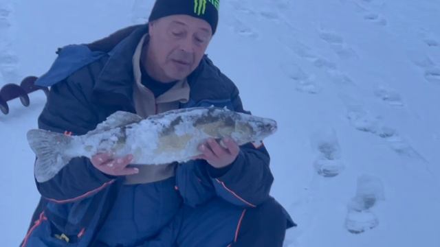 25-12-2024 смотреть онлайн