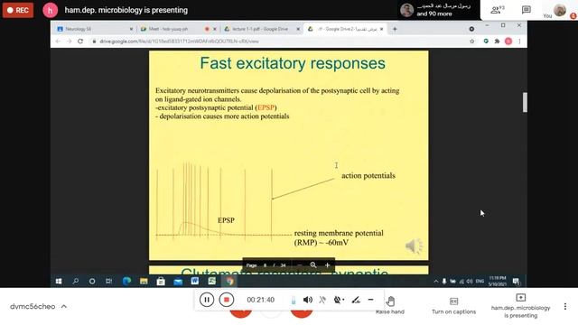 neurology session glial cells neurotransmission смотреть онлайн