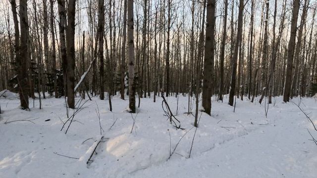 GX010195 смотреть онлайн