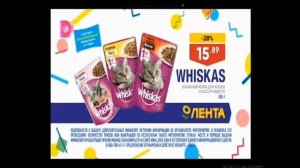 Анонсы и реклама (Домашний, 04.10.2019) (8)