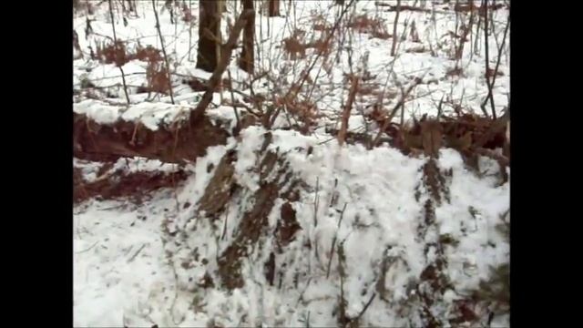Укрытие в зимнем лесу голыми руками смотреть онлайн