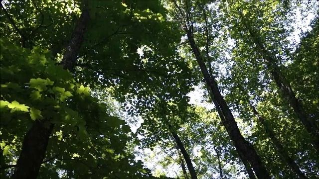 Каверзинские водопады смотреть онлайн