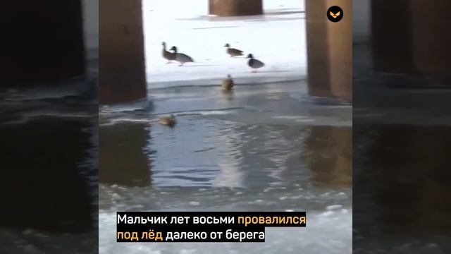 В Московской области подросток спас мальчика, который провалился под лёд