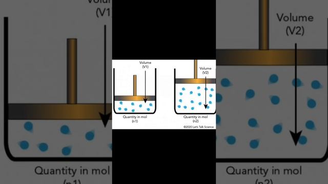 What Is Avogadro's Law?