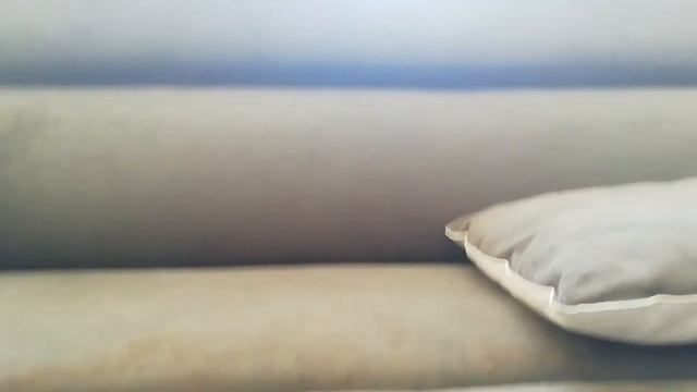 Какие пауки бывают 🕷️ смотреть онлайн