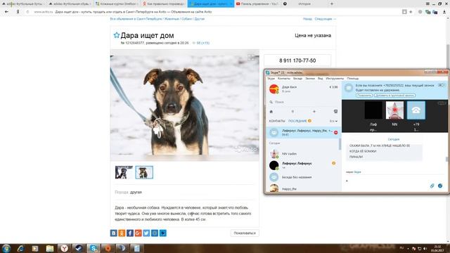 Кирилл покупает собаку смотреть онлайн