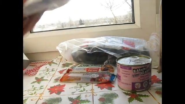 Что я подарила собаке на Новый год??!!