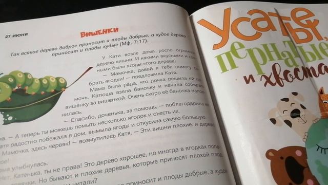 27 июня. Вишенки. смотреть онлайн