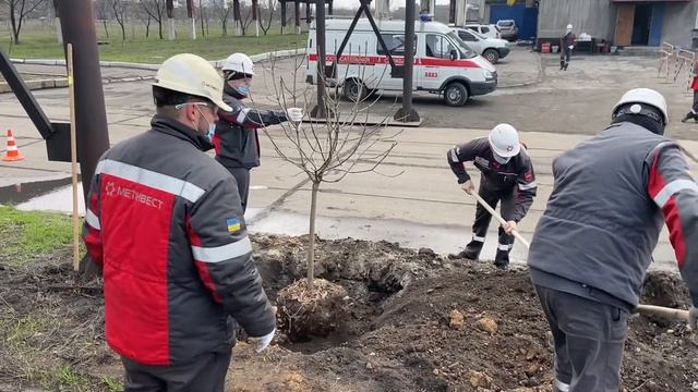 Авдеевские коксохимики присоединились к глобальному экологическому проекту «Озеленение планеты» смотреть онлайн
