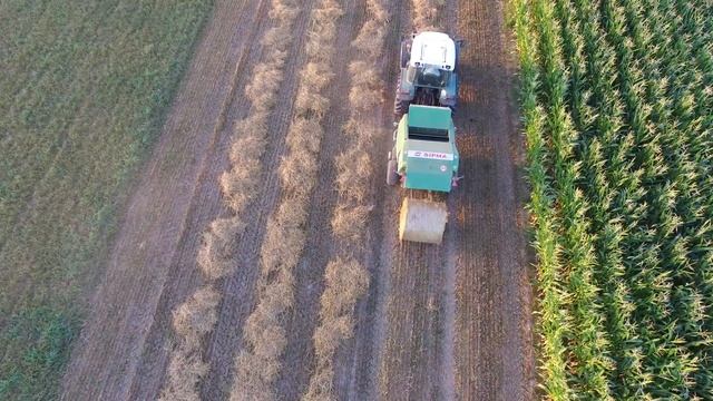 Najlepsze Polskie Żniwa 2017 na podlasiu w 4K -Volvo,Fendt,Sipma смотреть онлайн