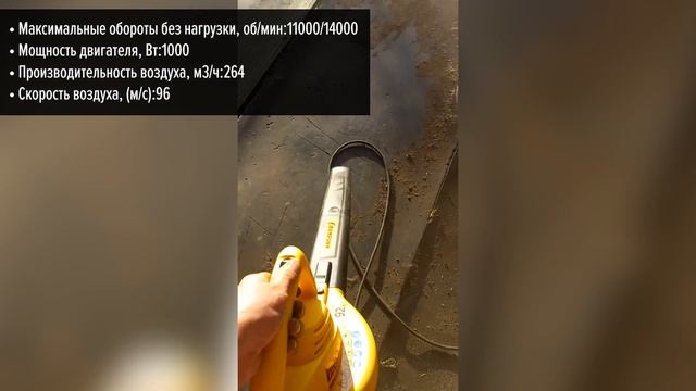 Воздуходувка CHAMPION EB1000 смотреть онлайн