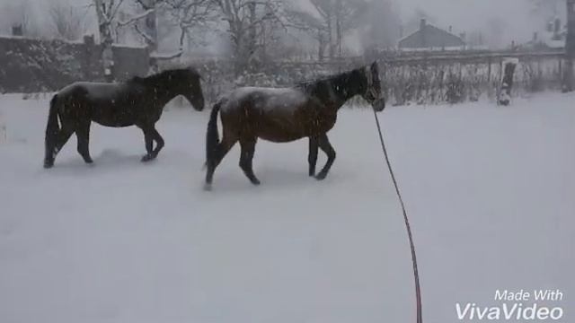 Прогулка на свежем воздухе смотреть онлайн