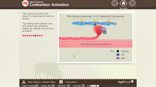 Testimonials: Meat Science (AFTP) смотреть онлайн