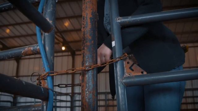 Purina High Octane Golden Ticket Supplement | Cleaver Farm & Home смотреть онлайн