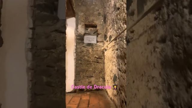 Castle of the Count !! Where Vlad Tepes and the architecture sure inspired Brom Stalker смотреть онлайн