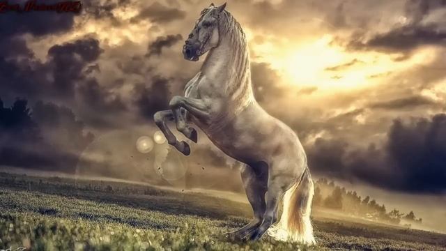 Nasheed-Нашид самый красивый нашид успокаивающий нашид смотреть онлайн