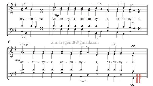 ТЕЛО ХРИСТОВО✨ИОНАФАН ЕЛЕЦКИХ - Басовая партия смотреть онлайн