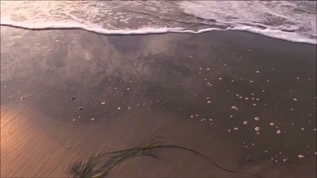 Extreme Degree Of Desperation