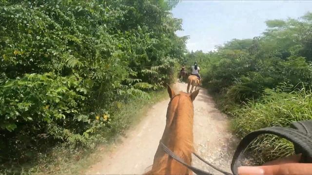 Chukka Adventure Part 2 | Horseback riding & Catamaran смотреть онлайн