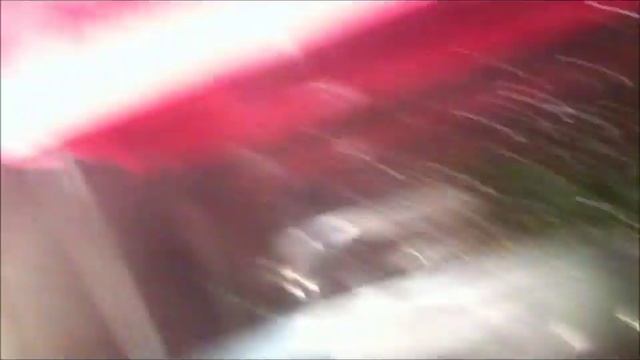 Insect Collection Update 12/04/2012