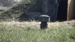 S-28 siren test