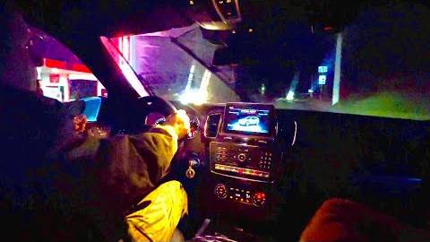 ЭКСТРЕННЫЙ ВЫПУСК! Тайган начинает принимать птиц, попавших в беду в Черном море! смотреть онлайн