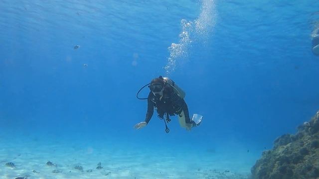 Bora Bora 2022 смотреть онлайн