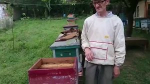 Село ишхой Юрт 2016 год пчеловодство