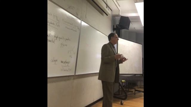 The Role of Glycine in Regulating Inflammation смотреть онлайн