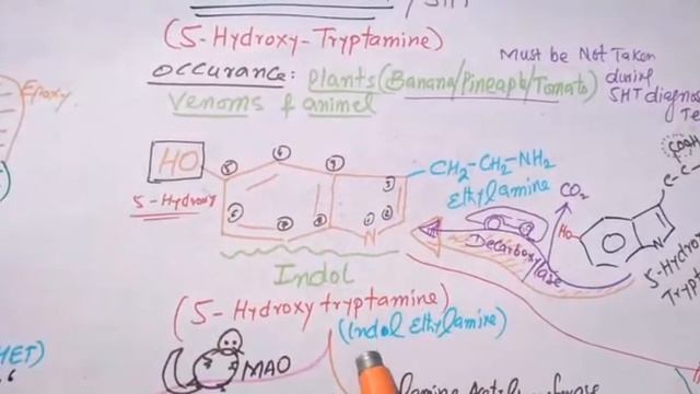 Serotonin-1 Autacoids Leacturs Part 17 | Dr Naveed Muhammad lectures смотреть онлайн