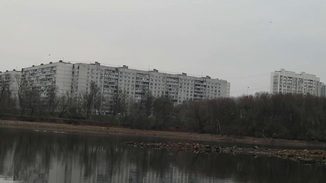 Птицы в Коломенском (1) смотреть онлайн