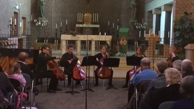 Der Tod und das Mädchen - Schubert смотреть онлайн