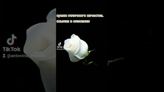 сумки реплика мировых брендов ✨✨✨ смотреть онлайн