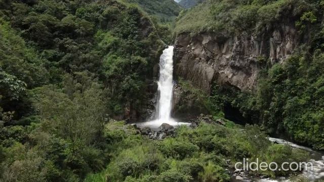 Псалом Давида 71. смотреть онлайн