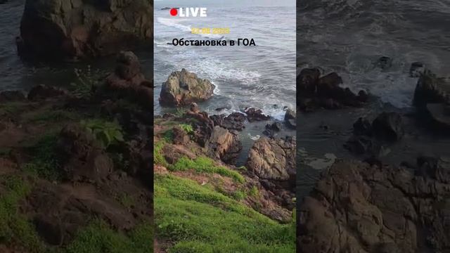 Обстановка #шортс #гоа #индия смотреть онлайн