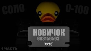 Путь с Нуля в TDX