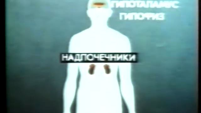 10 Выделение смотреть онлайн