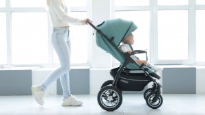 Babycare Venga / надувные колеса / прогулочная коляска