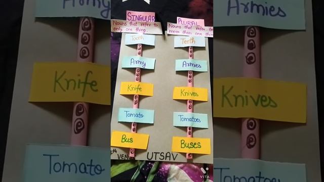 3D project on singular and plural noun смотреть онлайн