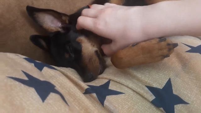 Лёг спать смотреть онлайн