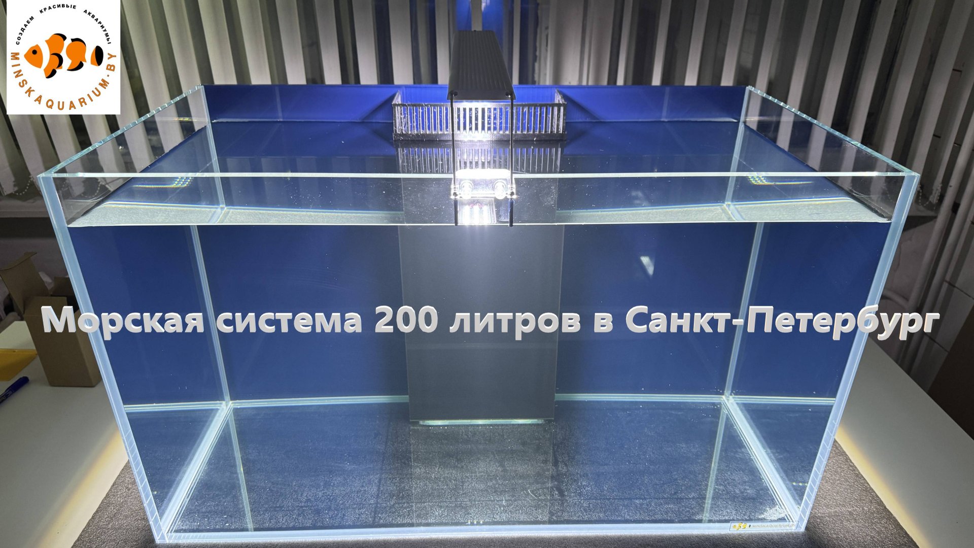 Морской аквариум 200 литров в Санкт-Петербург смотреть онлайн