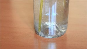 Sera artemia breeding kit