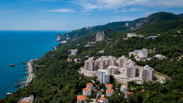 Diplomat Promo 2024 короткий 59 сек