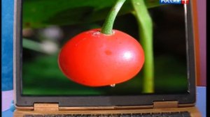 Спокойной ночи малыши-сборник 27