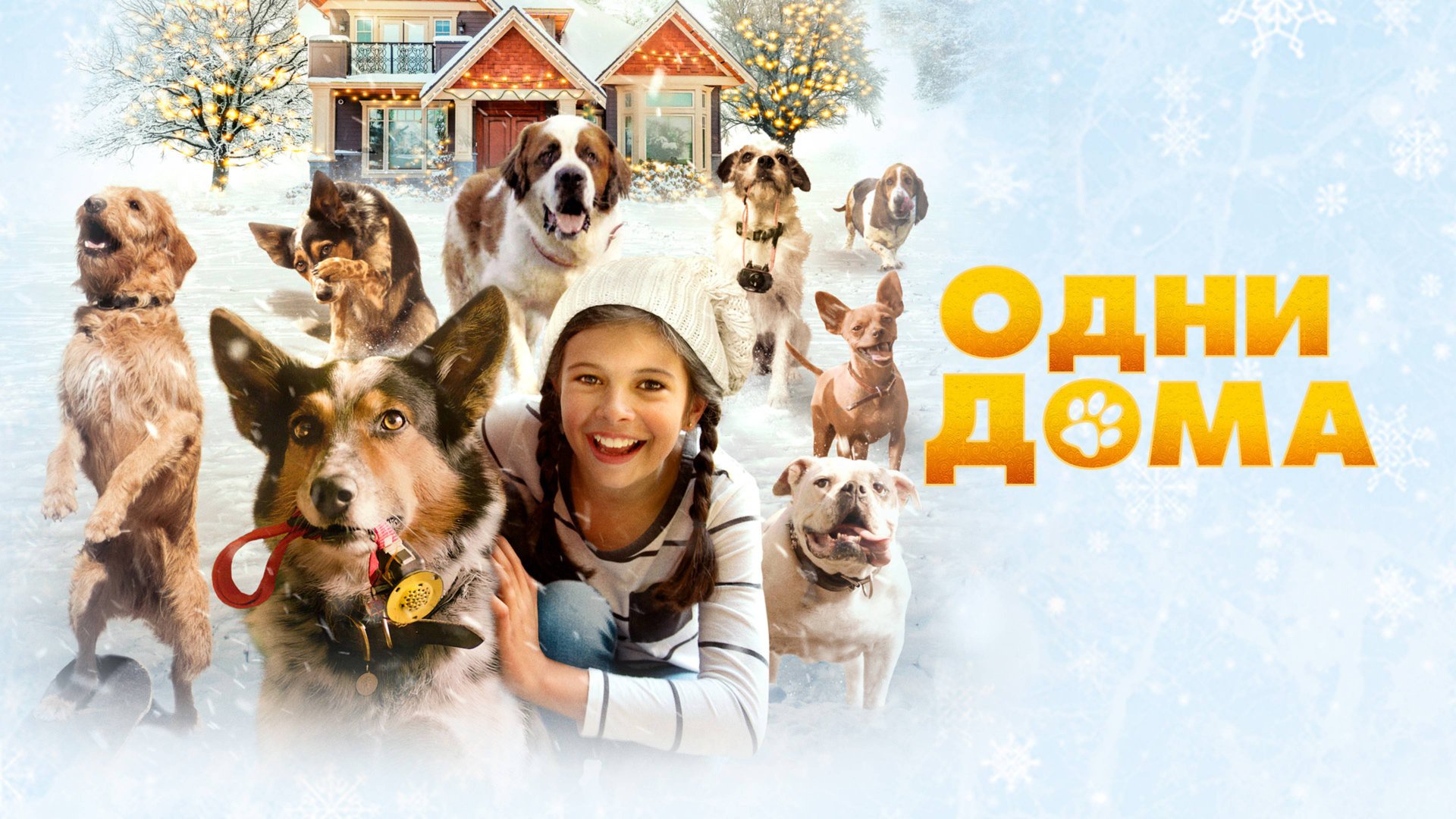 Одни дома (2021) / Pups Alone