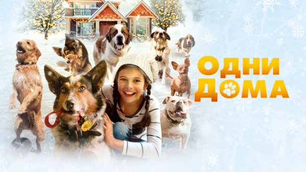 Одни дома (2021) / Pups Alone