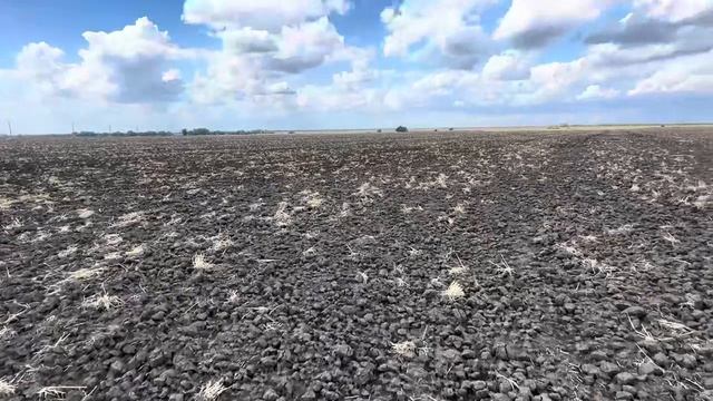 Полупар. Подготовка под урожай 2025. смотреть онлайн